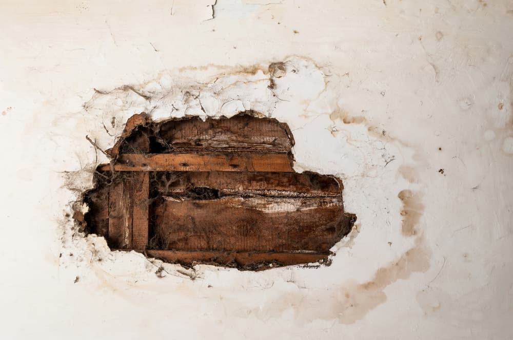 How To Know If a Roof Has Dry Rot