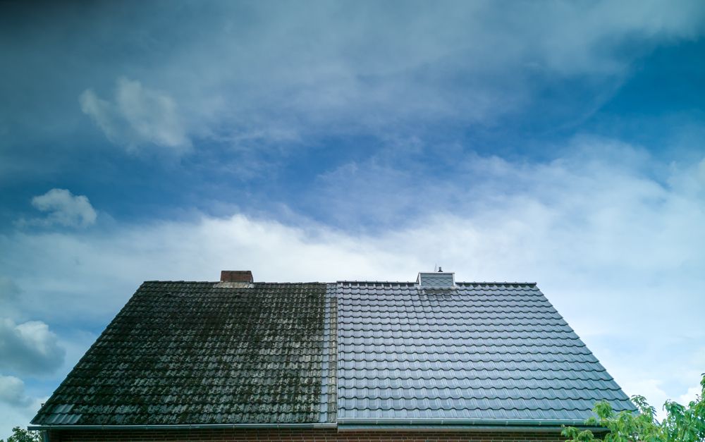 Everything You Need to Know About Roof Cleaning, But Were Afraid to Ask